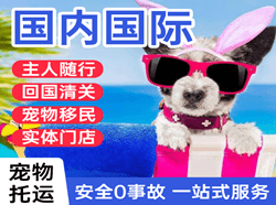 泰州航空快运国际宠物托运 【国